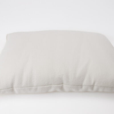 Wool Pillow in Wool encasement against white backdrop