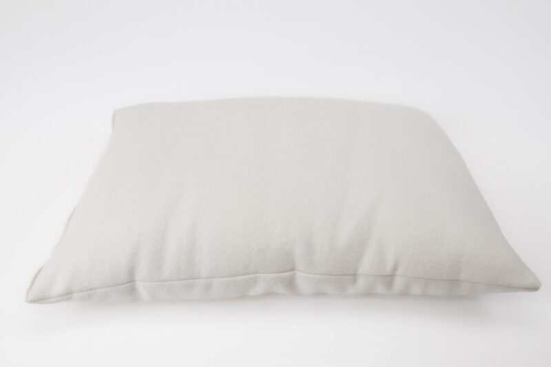 Wool Pillow in Wool encasement against white backdrop
