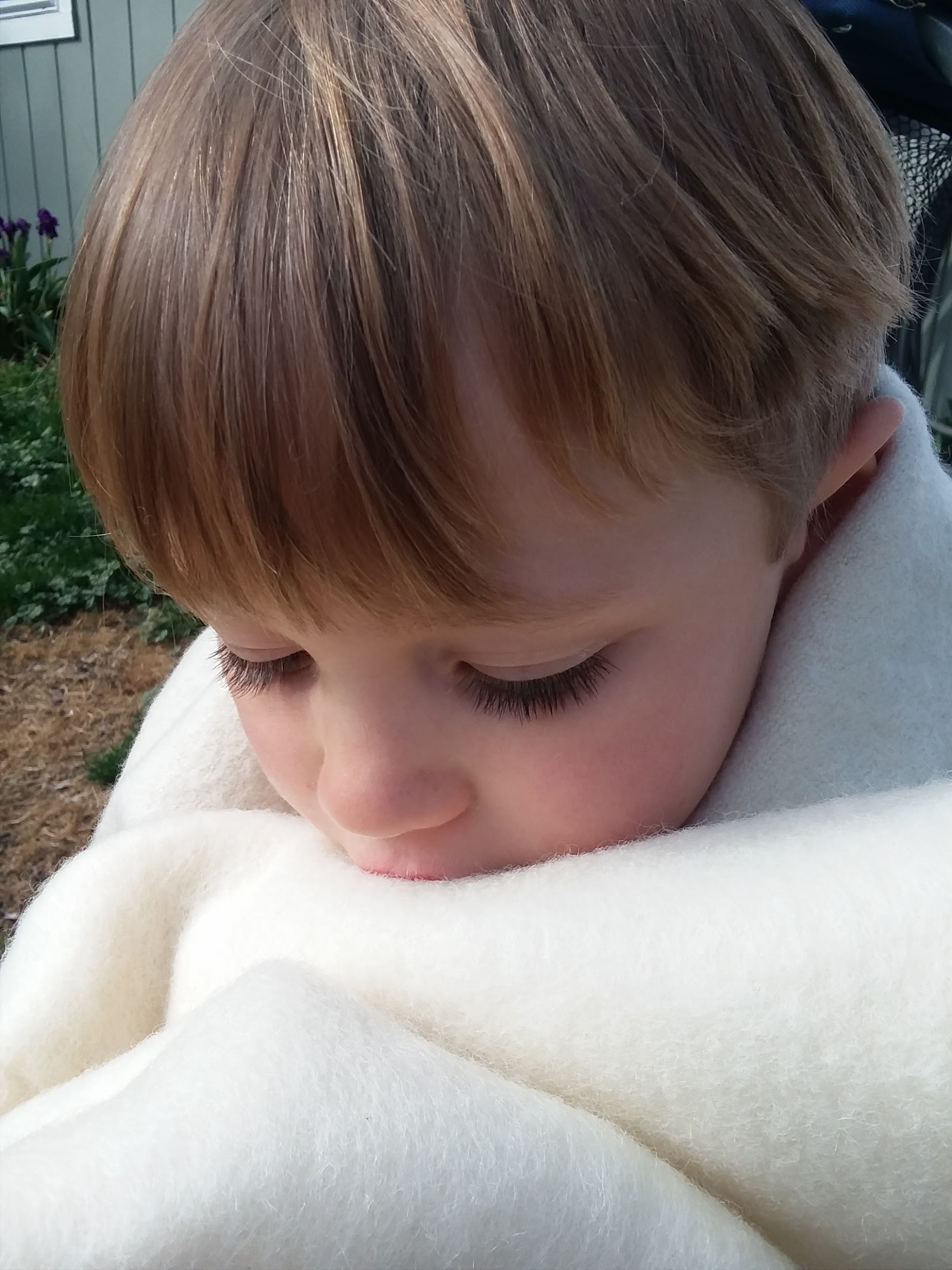 Wool Myths 8 Wool Causes Allergic Reactions