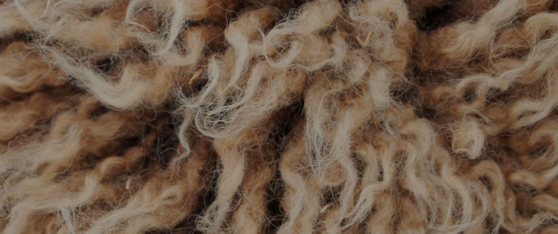 Wool Bedding Guide Everything You Need to Know About Wool