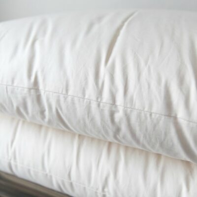 Shepherd's Dream Organic Wool Pillows