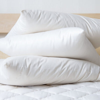 Organic wool Pillow EcoWool