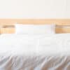 Shepherd's Dream Organic Wool Comforter Summer Weight