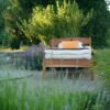 Sunrise Mattress Frame
