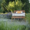 Sunrise Mattress Frame
