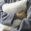Shepherd's Dream Organic Wool Travel Pillow