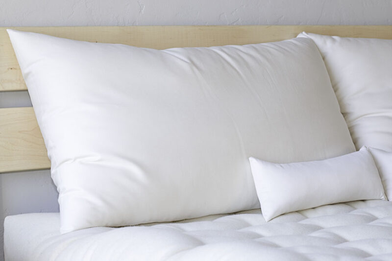 Shepherd's Dream Organic Wool Sleep Pillow Set