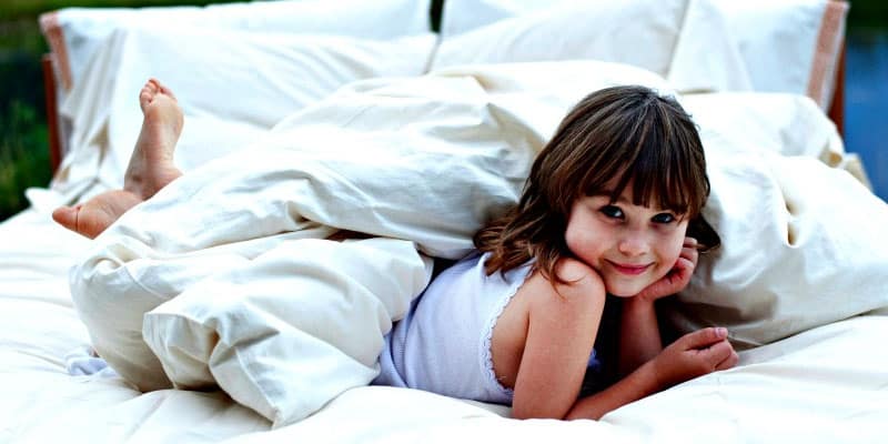 Shepherd's Dream All Natural Wool Bedding