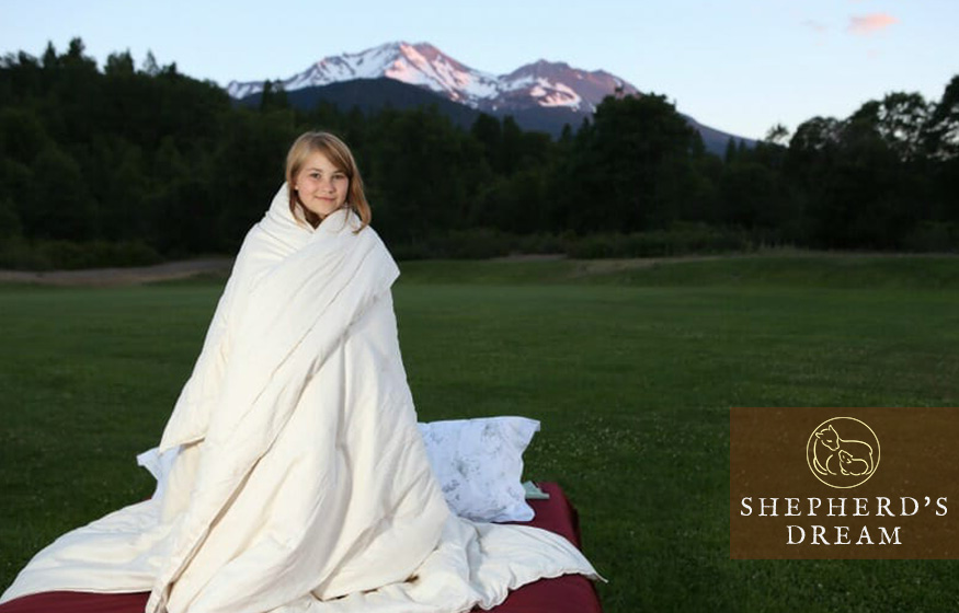 All Season Wool Comforter Versus 100% Organic Comforter
