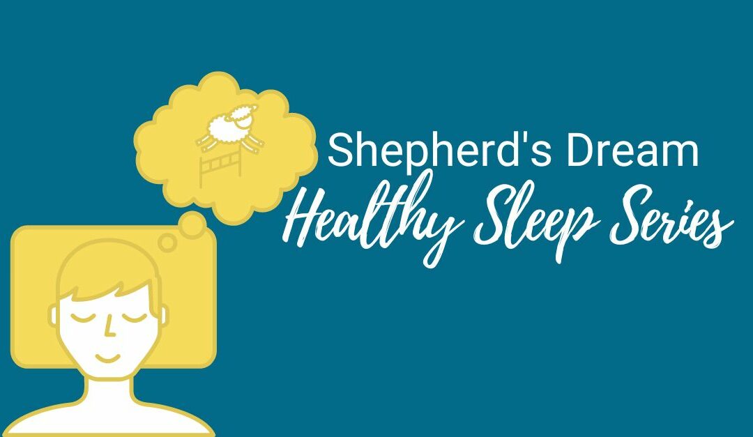 Shepherd’s Dream Healthy Sleep Series 1