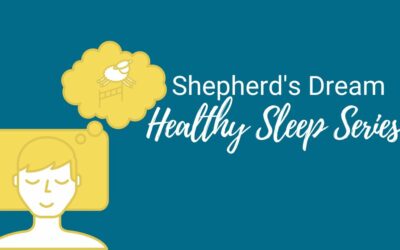 Shepherd’s Dream Healthy Sleep Series 1