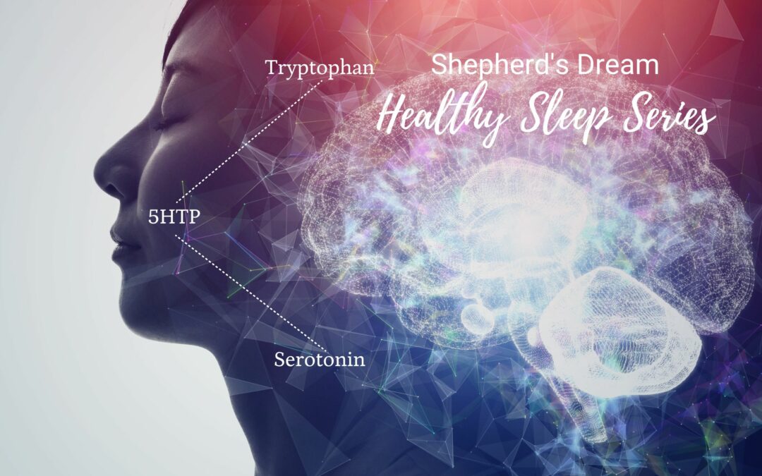 Shepherd’s Dream Healthy Sleep Series: Tryptophan and Serotonin