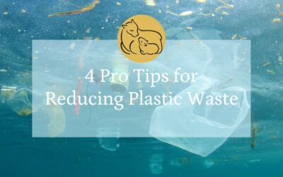 4 Pro Tips for Reducing Plastic Waste 