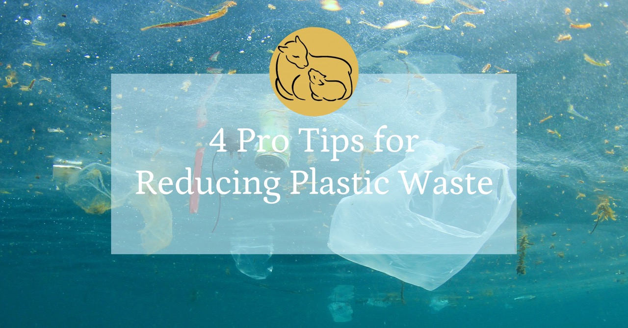 4 Pro Tips for Reducing Plastic Waste  1