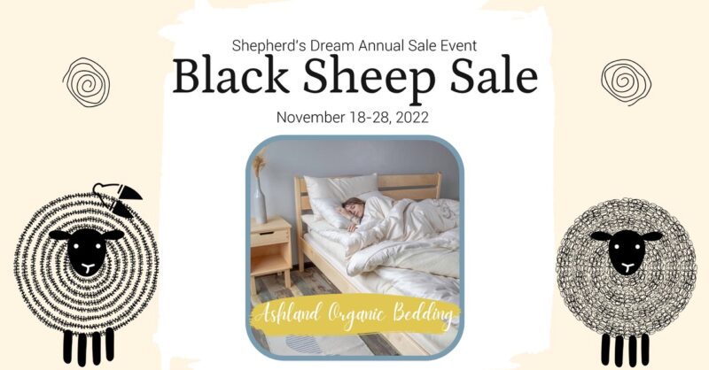 Counting Sheep Blog 19
