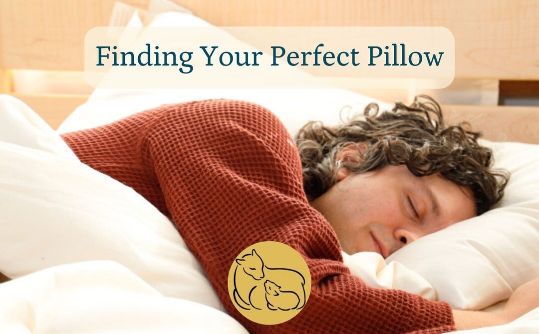 Finding Your Perfect Pillow
