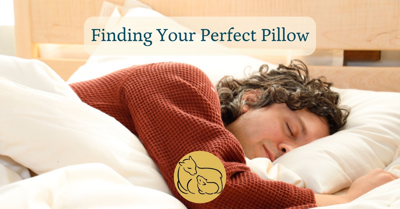 Finding Perfect Pillow