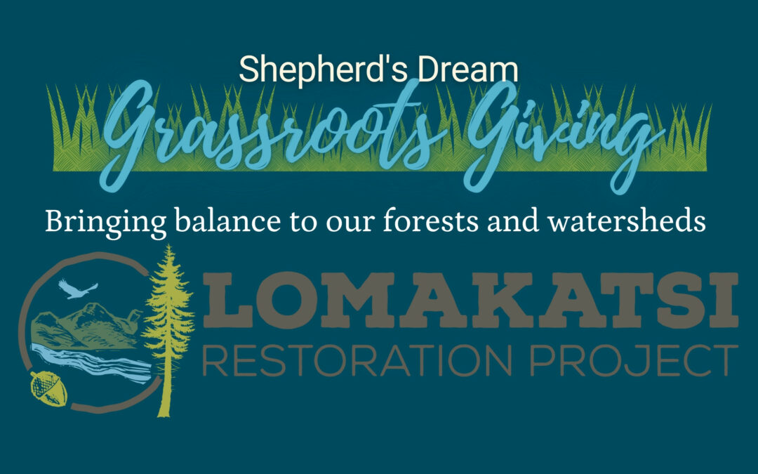 Bringing Balance to Forests & Watersheds: Lomakatsi’s Restoration Initiatives