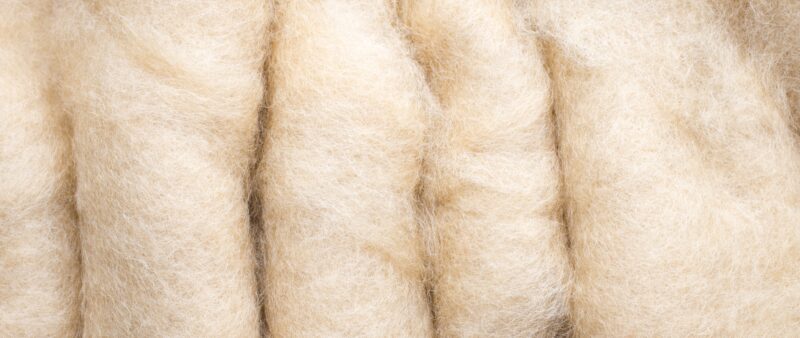 Nature's Remedy: Exploring the Medicinal Potential of Wool 2