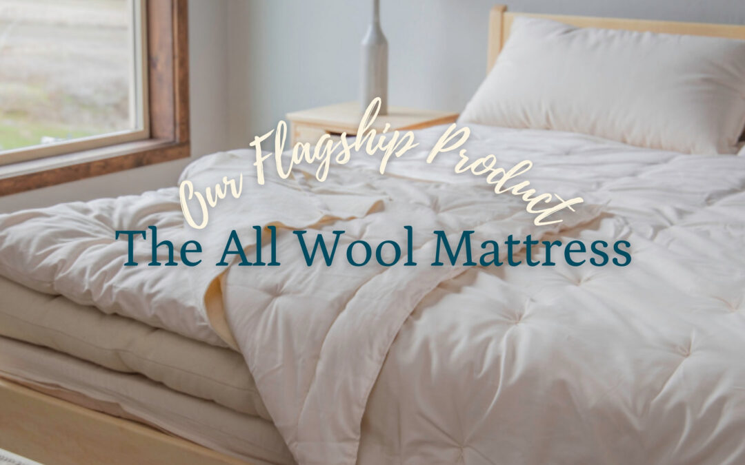 Our Flagship Product: The All Wool Mattress