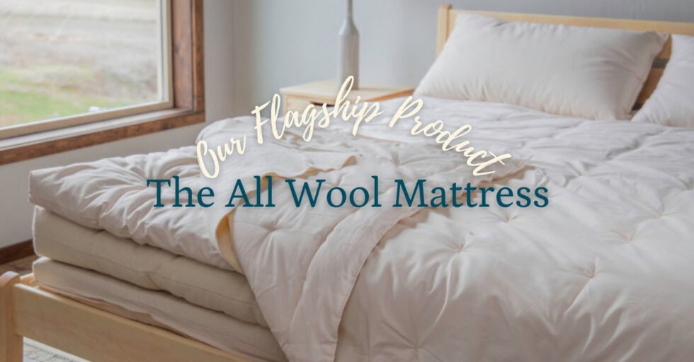 Our Flagship Product The All Wool Mattress Shepherd's Dream