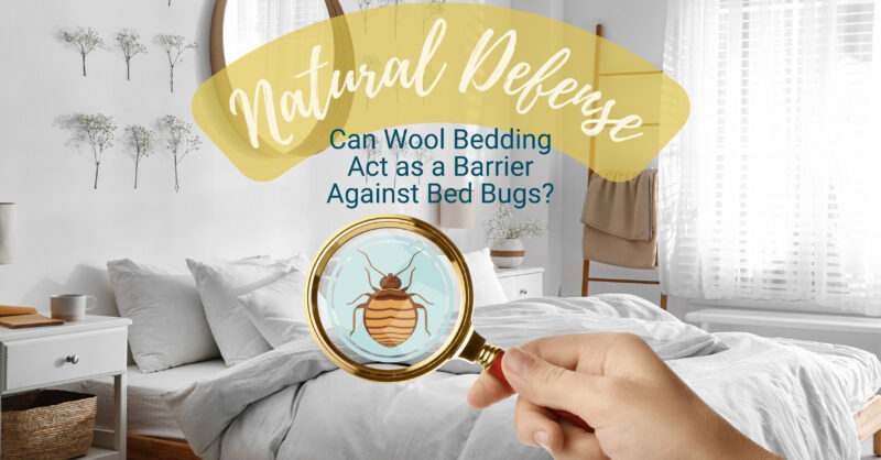 A magnifying glass looks at a bed bug in a peaceful bedroom.