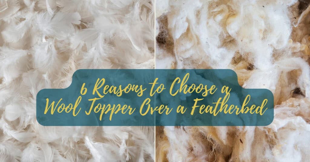6 Reasons to Choose a Wool Topper Over a Featherbed Shepherd's Dream
