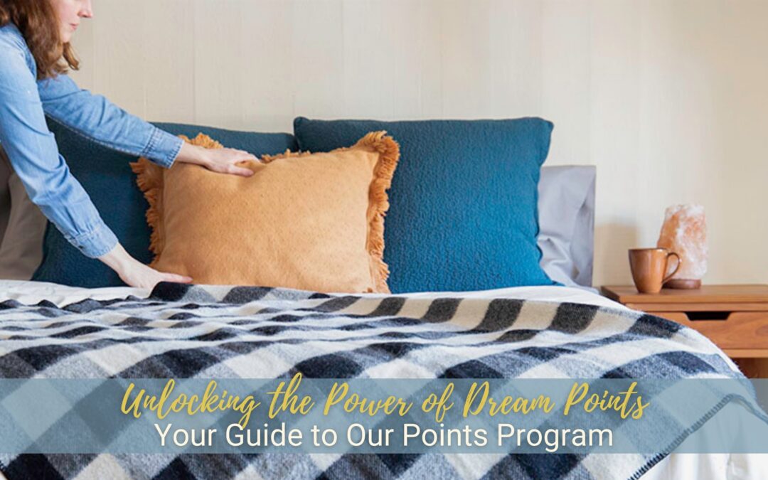 Unlocking the Power of Dream Points: Your Guide to Our Points Program