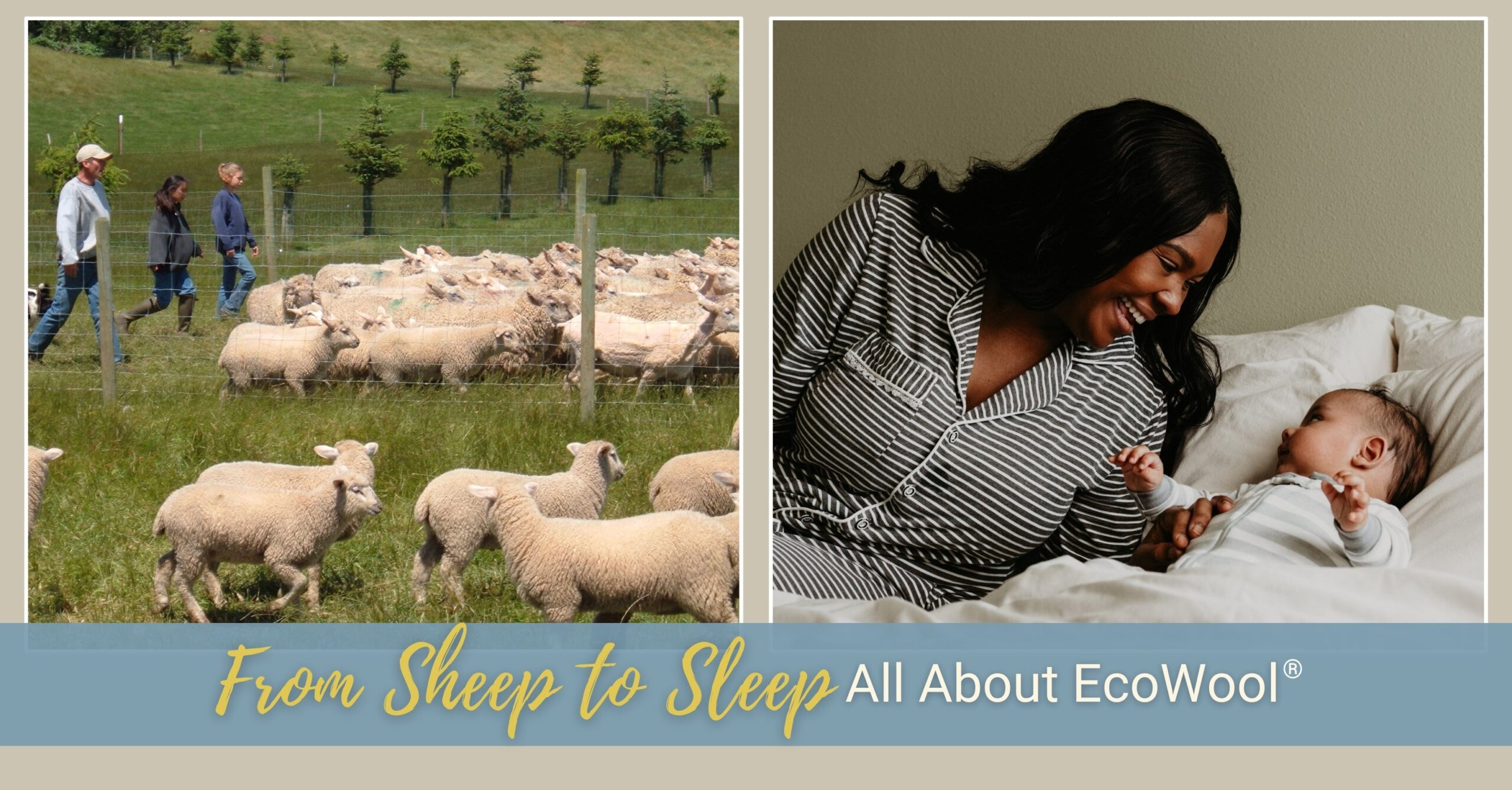 One photo shows a man and two girls herding sheep in a green field with a dog. The other photo shows a woman smiling at her baby in bed.