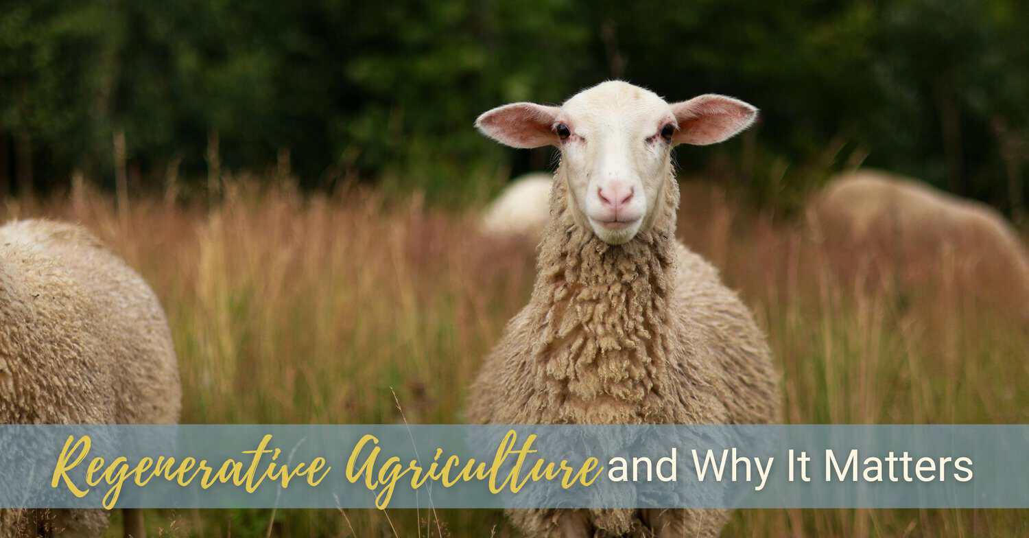 Regenerative Agriculture and Why It Matters 2