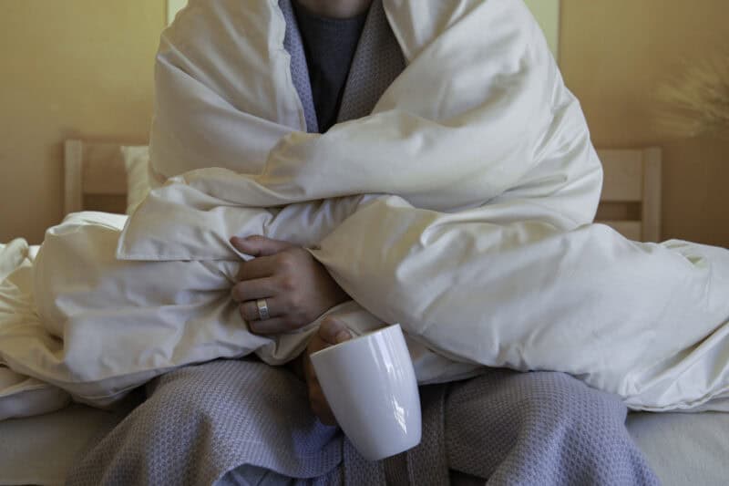 The Shepherd's Dream Guide to the Perfect Comforter