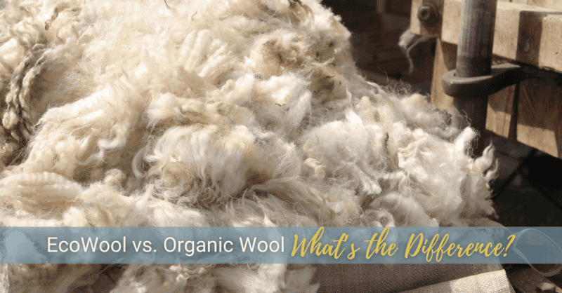 Discover the difference between EcoWool and organic wool and which option is right for you.